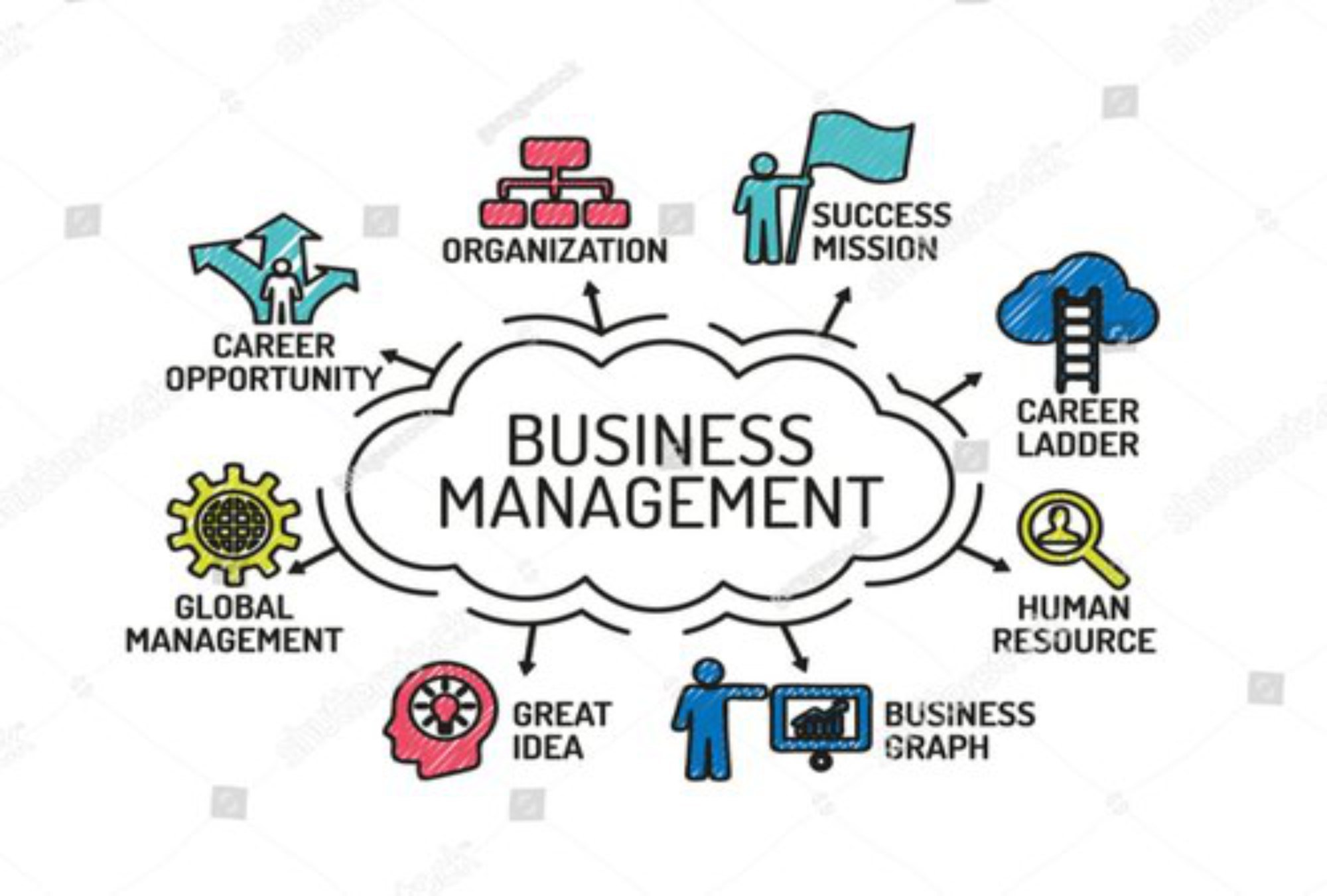 Biznes va menejment kurslari