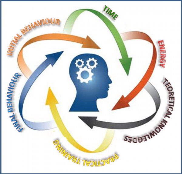 🎓 TA’LIM MENEJERI KURSI